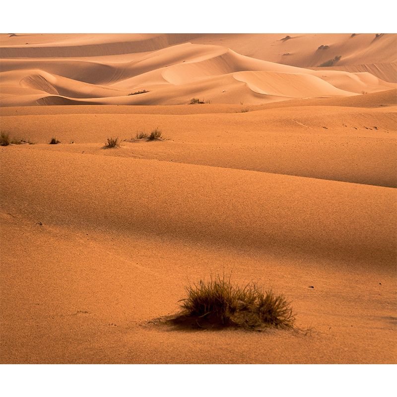 Mildew Resistant Wall Endless Desert Wallpaper Home Wall Mural