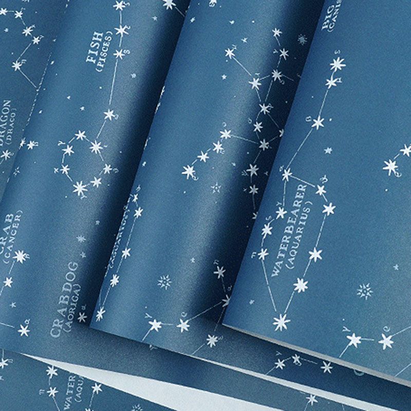 Décoration murale contemporaine horoscope pour chambre de garçon, papier peint 31'L x 20,5"W de couleur bleue