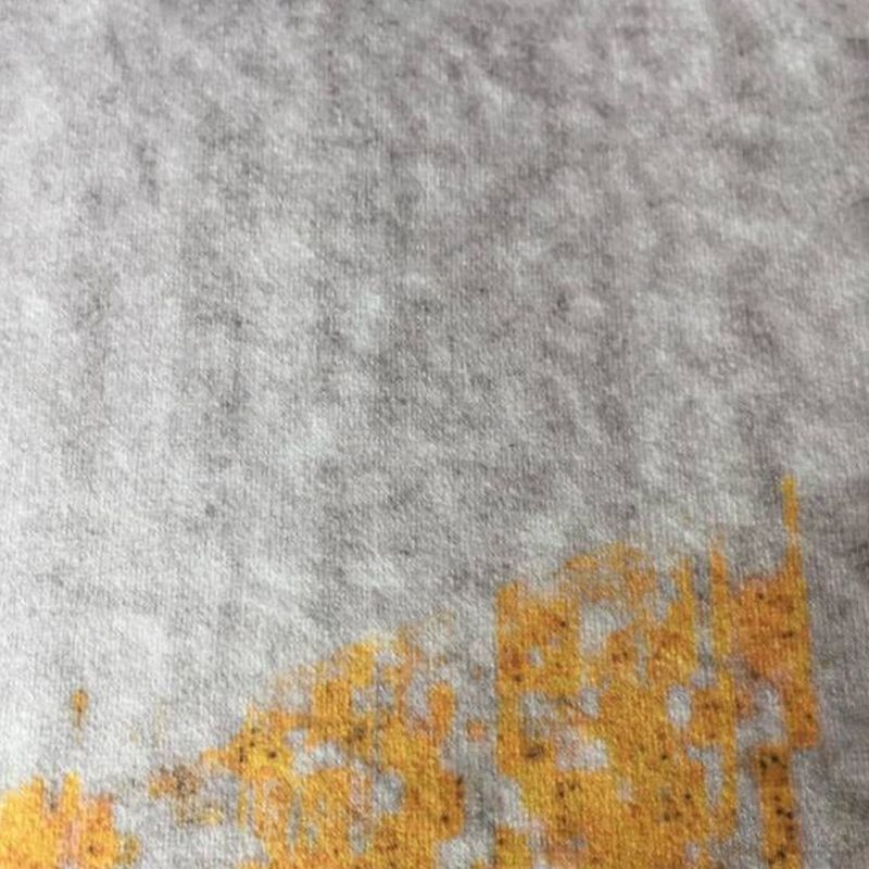 Multicolor Simplicity Area Carpet Polyester Floral Print Indoor Rug Easy Care Carpet for Living Room