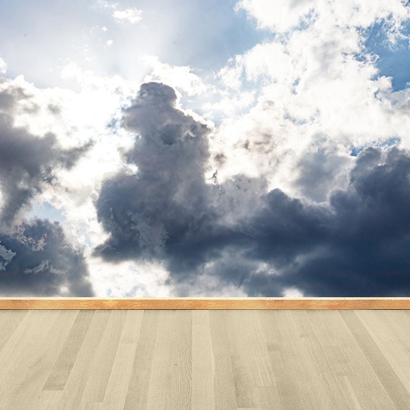 Sky View Mural Modern Stain Resistant Wall Art for Sitting Room, Made to Measure