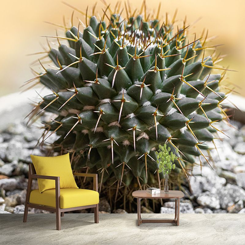 Succulent Houseplant Contemporary Mural for Office Room, Green, Custom Size Available