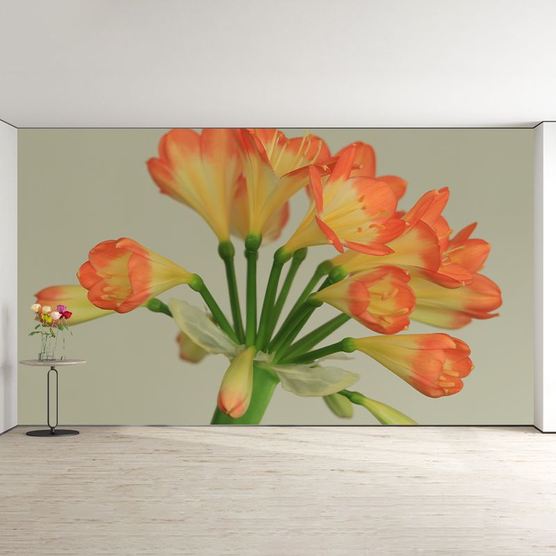 Clivia Flower Blossing Mural Wallpaper Modern Wall Covering for Living Room