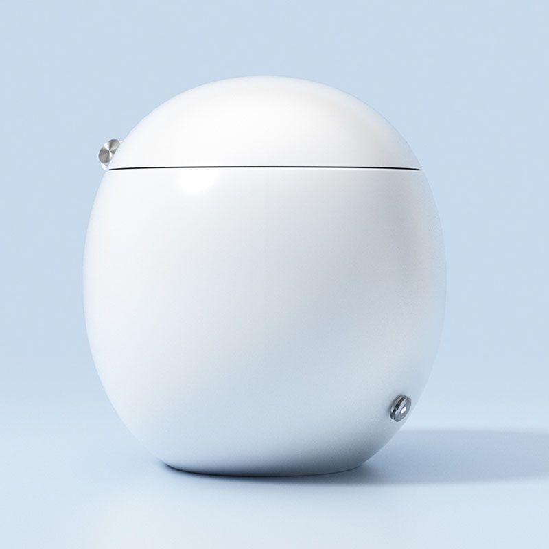 White Egg Shaped Electronic Elongated Toilet Floor Standing Bidet