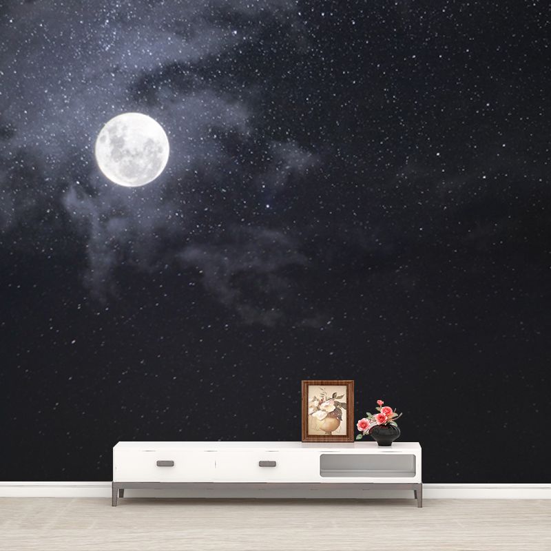 Moon and Starry Sky Mural Wallpaper in White on Black Contemporary Wall Art for Home