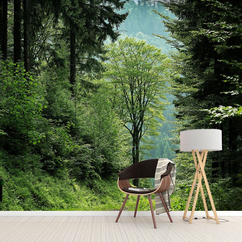 Forest Mural Mildew Resistant Contemporary Wall Covering for Dining Room