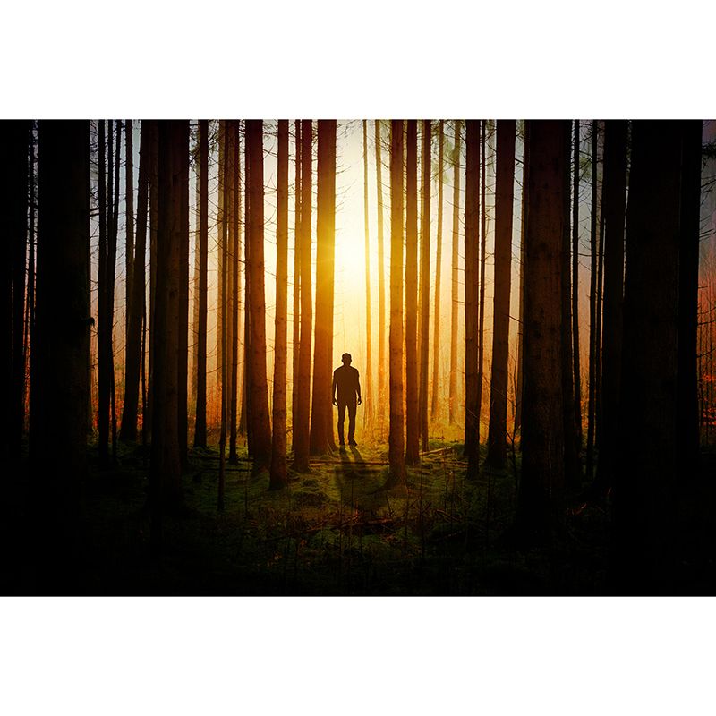 Stain Resistant Wall Mural Environmental Landscapes Photography Wall Mural