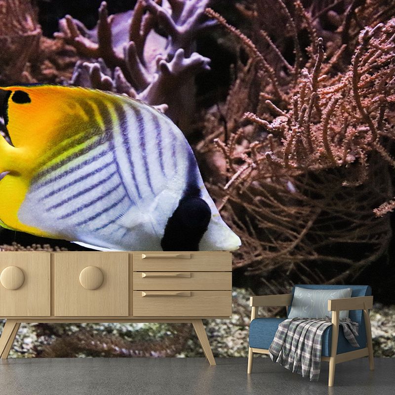 Sea Creatures Wall Decals for Girls Boys Bedroom Water Resistant, Custom Size Available