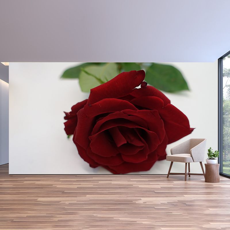Elegant Rose Mural Wallpaper Washable Wall Covring for Girls' Bedroom Home Decor