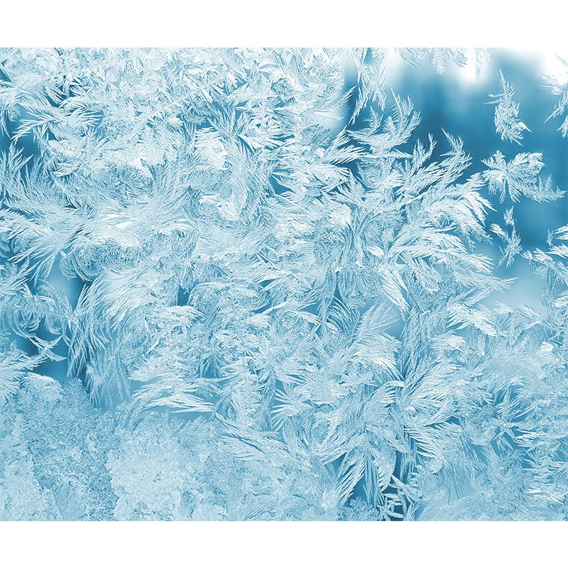 Soft Bird Feather Mural Wallpaper Mildew Resistant Wall Covering for Decoration