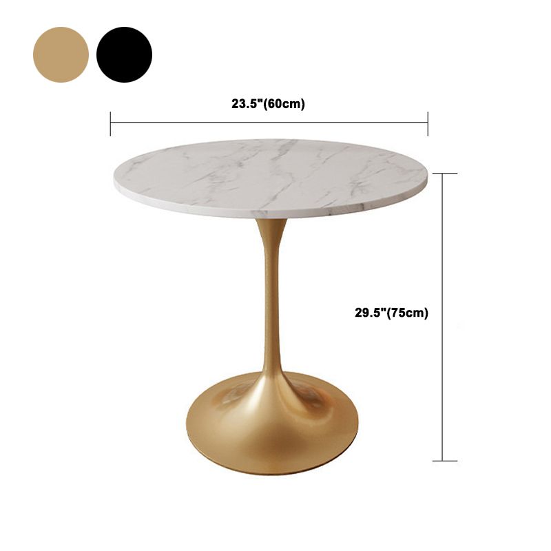 Glam Style Sintered Stone Dining Set Round 1/2/5 Pieces Dining Set