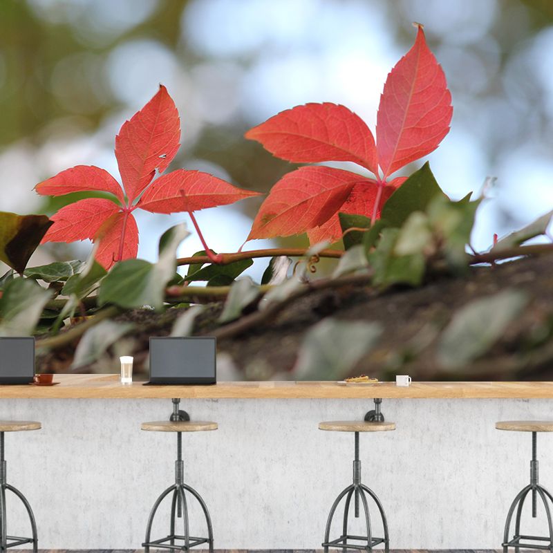 Customized Virginia-Creeper Plant Mural Wallpaper Mildew Resistant Wall Decor