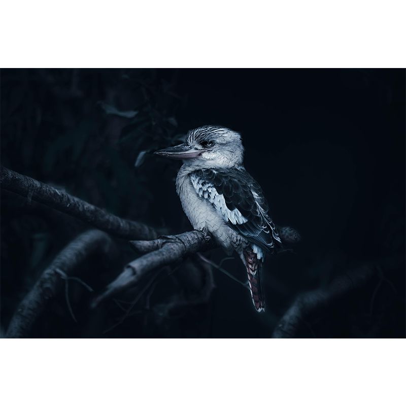 Kingfisher Contemporary Mural Wallpaper Mildew Resistant Wall Decor for Accent Wall