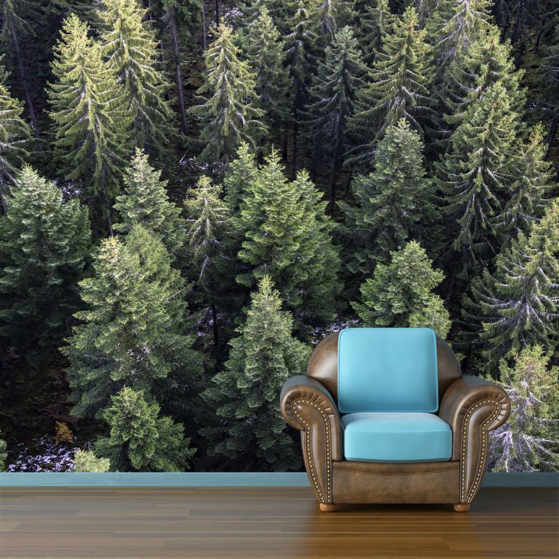 Nature Photography Style Forest Mural Wallpaper Mildew Resistant for Room