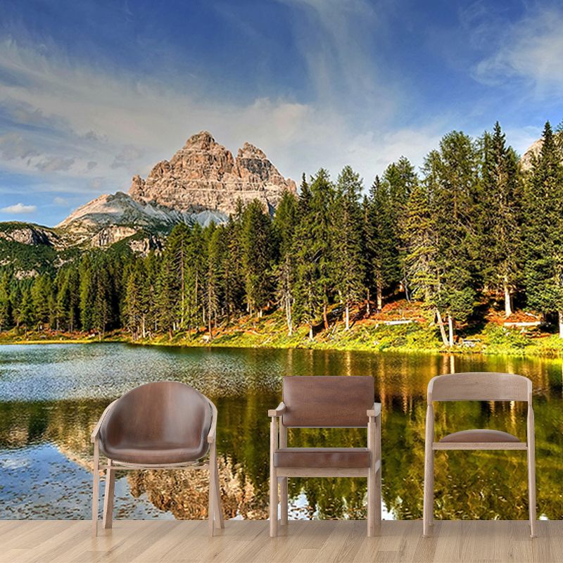 Forest Wallpaper Contemporary Photography Wall Mural Sitting Room Wall Covering