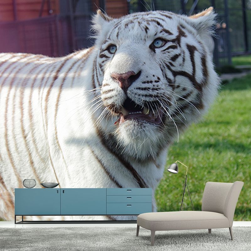Tiger Jungle Animal Mural Decal Modern Mildew Resistant for Sitting Room