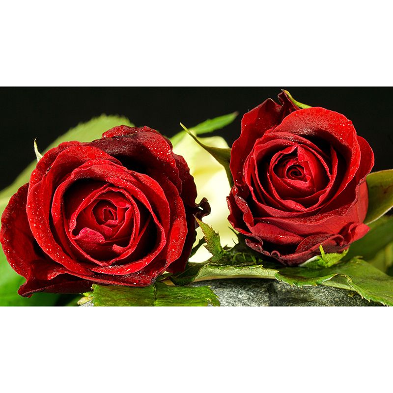 Customized Moisture Resistant Mural Wallpaper Decal Roses Blooming Wall Decor