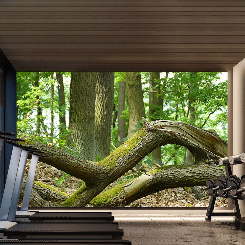 Customized Summer Forest Wall Mural Mildew Resistant Wall Decor for House Interior