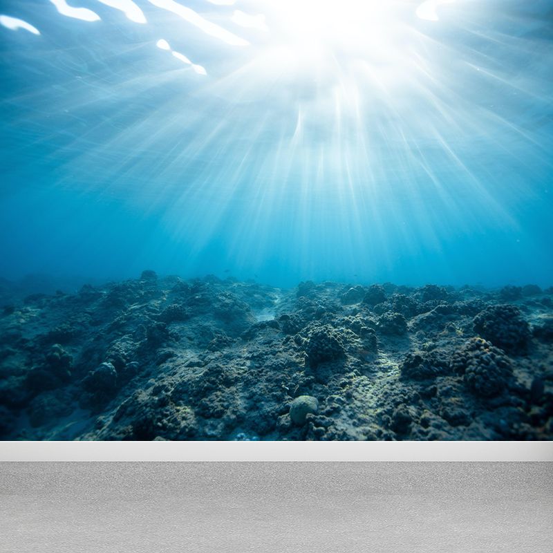 Tropix Sea Underwater Look-Up Murals Stain Resistant Wall Covering for Living Room