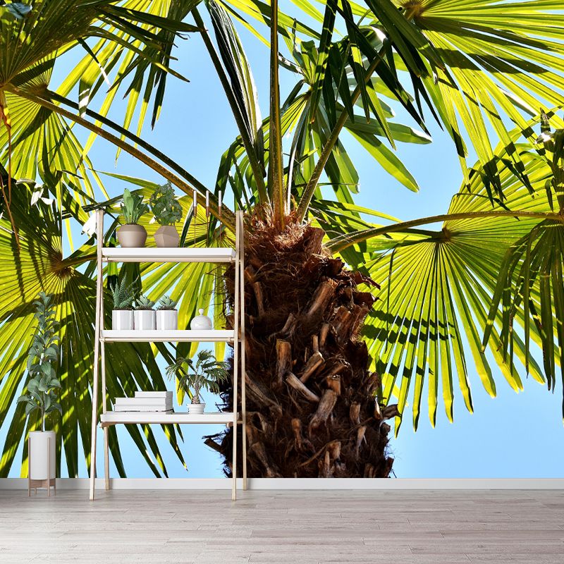 Tropical Palm Tree Personalized Size Wall Covering for Sitting Room Bedroom