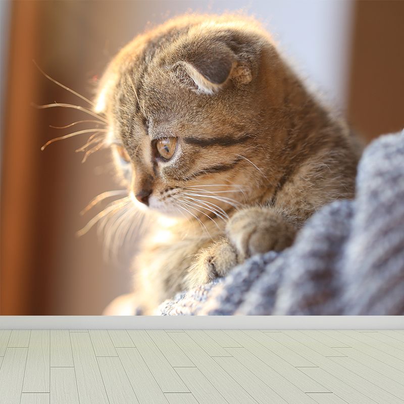 Full Size Cat Wall Covering for Sitting Room Water Resistant Wall Mural Decal