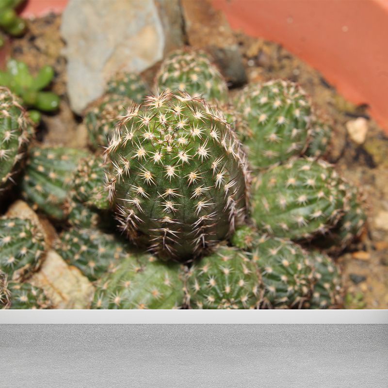 Tropical Green Plant Wall Mural for Bar Decoration Waterproof, Customized Size