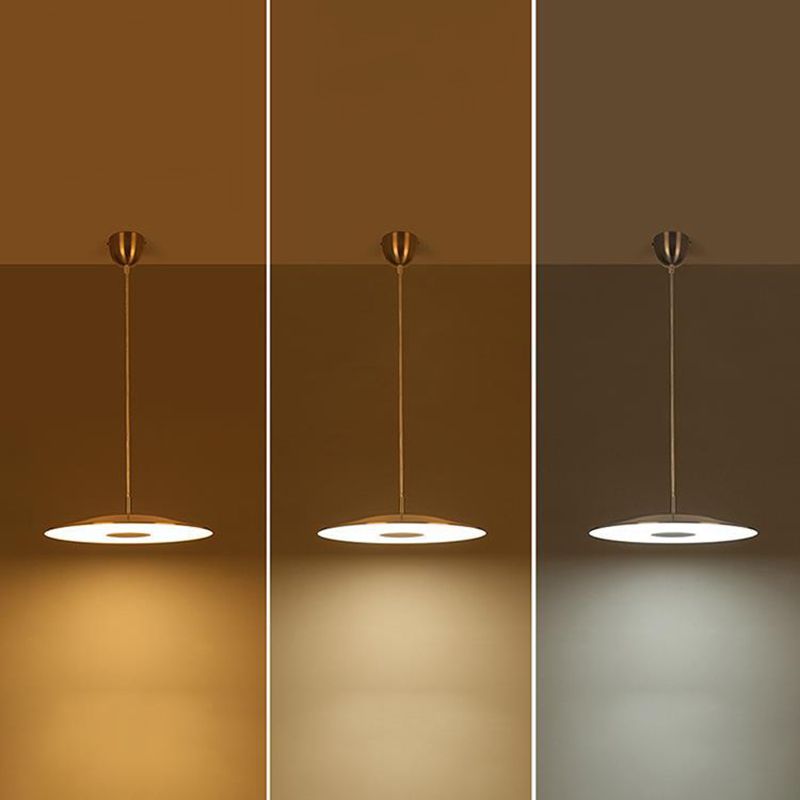 Schijfvorm metaal hangende hanglamp Noordse LED -suspensie hanglamp