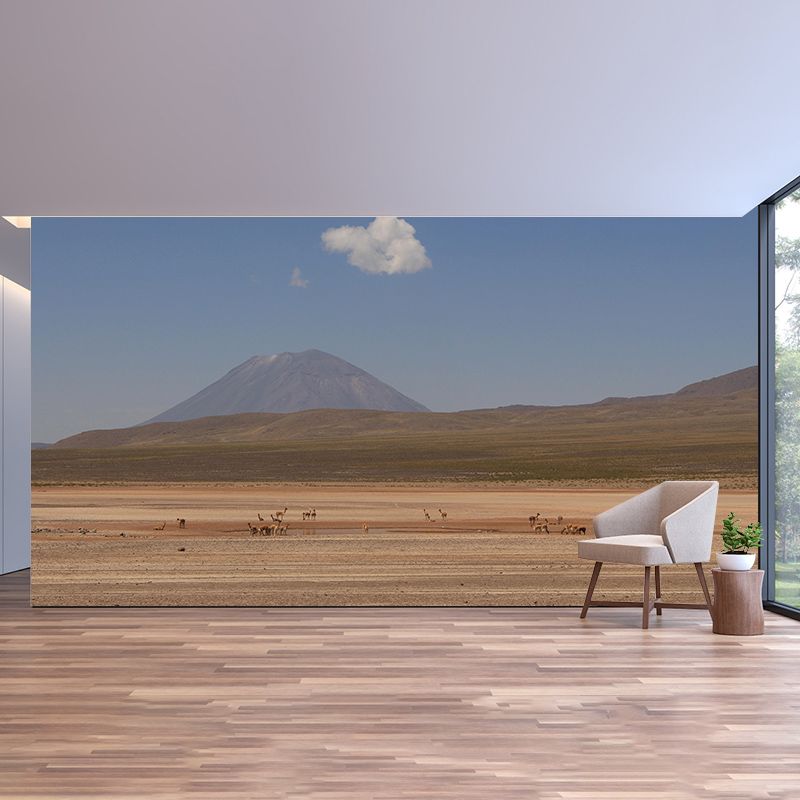 Room Mural Wallpaper Modern Desert Mildew Resistant Wall Decor