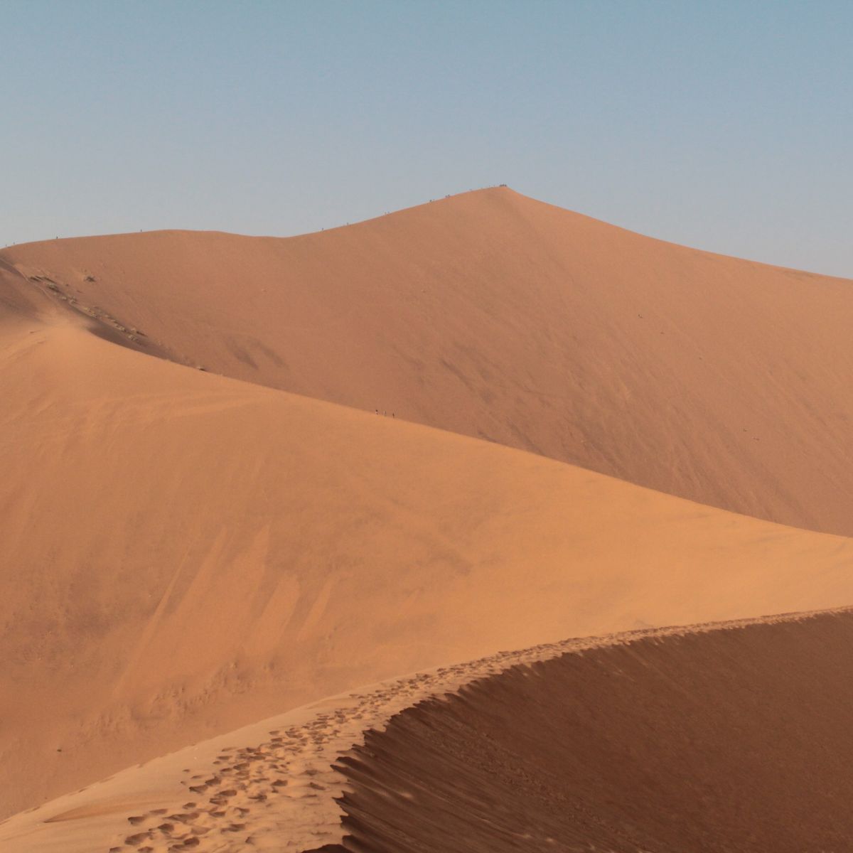 Huge Desert View Mural Wallpaper Water-Proof Wall Covering for Sleeping Room