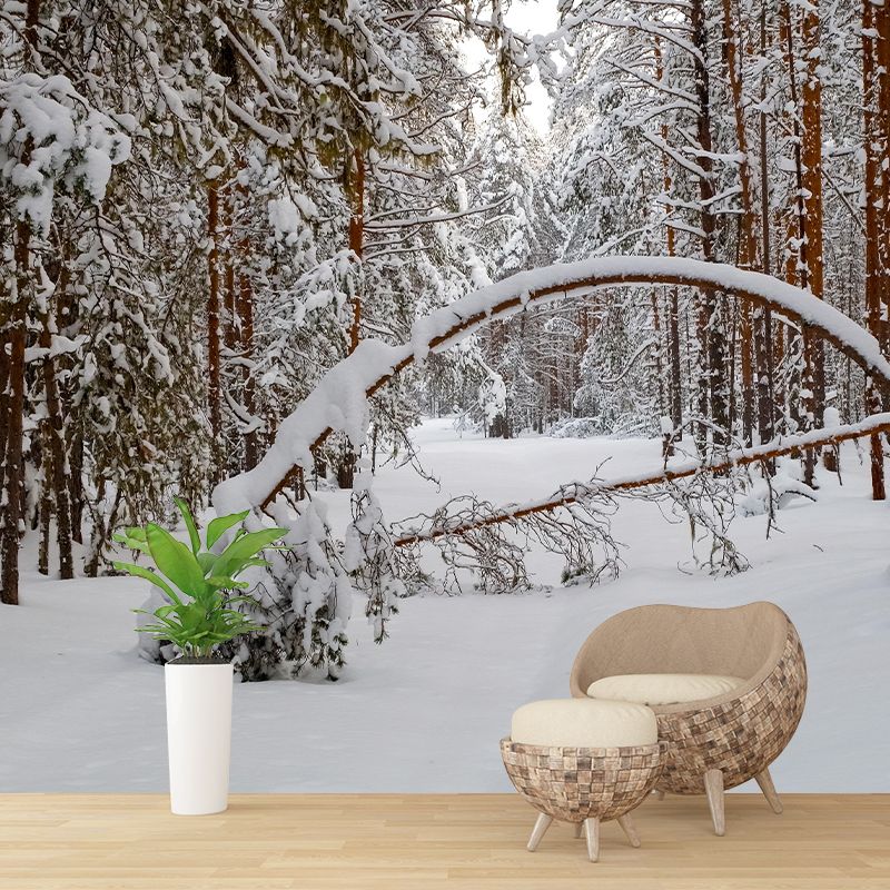 Photography Forest Mural Wallpaper for Living Room Wall Covering in Soft Color