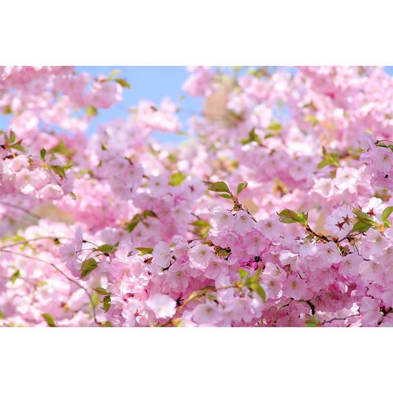 Romantic Florentine Mural Wallpaper for Dining Room, Pink, Custom Size Available