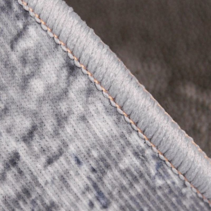 Gray Modern Rug Polyester Streak Rug Stain Resistant Rug for Living Room