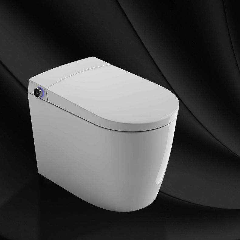 Modern 1-Piece Flush Toilet Floor Mounted Toilet Bowl for Washroom