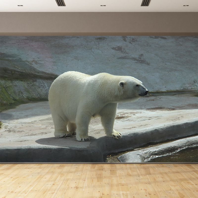 Photography Mural Wall Decor Polar Bear Mildew Resistant Living Room Wall Mural Wall Art