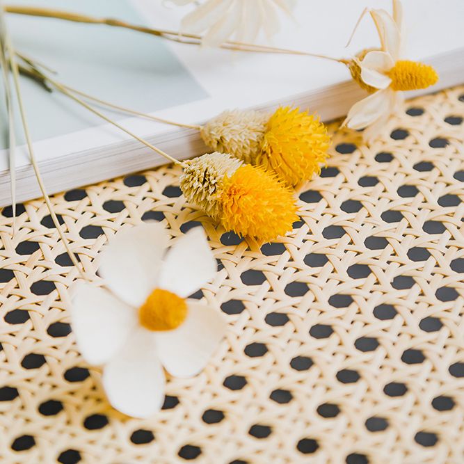 Contemporary Balcony Wood Arm Chair Matte Finish Open Dining Chair