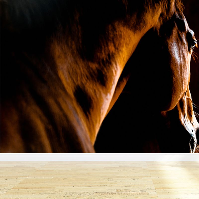 Full Size Photography Modern Mural Wallpaper with Running Steed Printed in Black