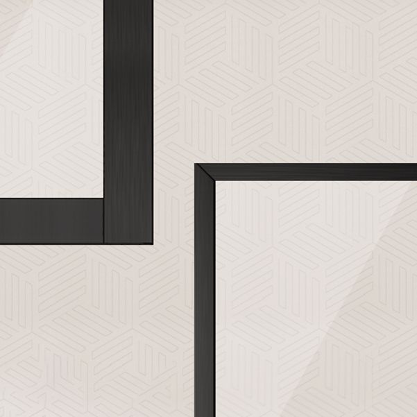 Metal and Glass Shower Bath Door Simple Inline Black Shower Door