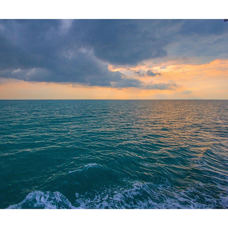 Contemporary Sea Mural Soft Color Stain Resistant Wall Art for Living Room