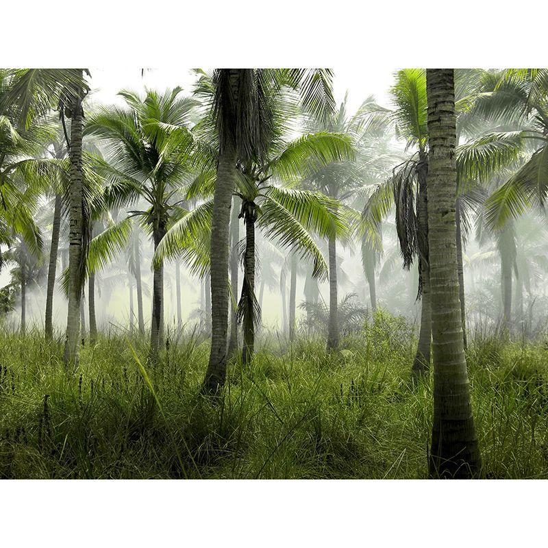 Environment Friendly Wall Mural Wallpaper Tropical Scenery Sitting Room Wall Mural