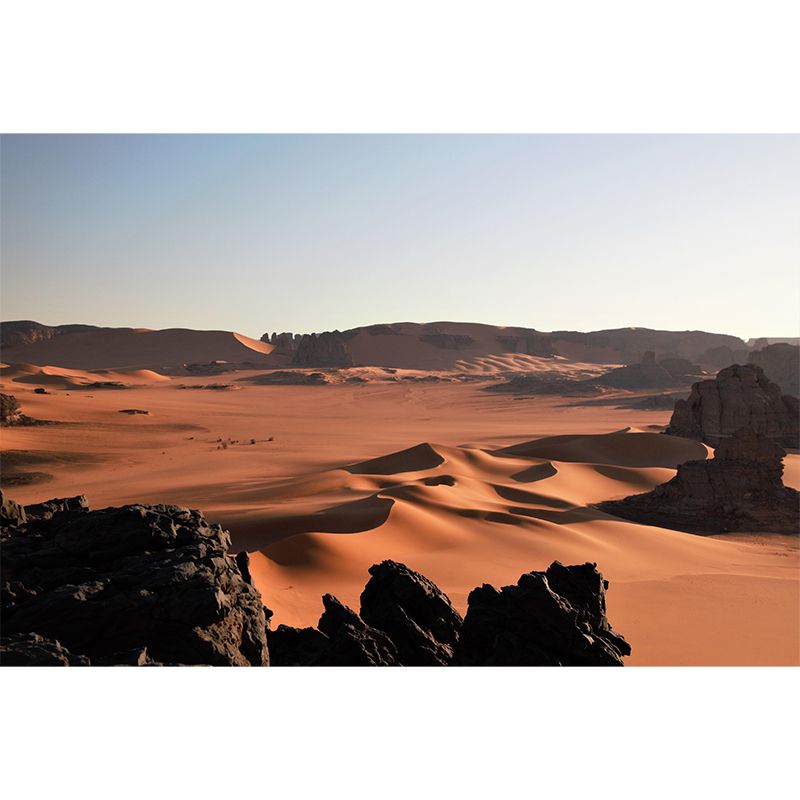 Huge Desert Landscapes Mural Mildew Resistant Wallpaper for Reading Room