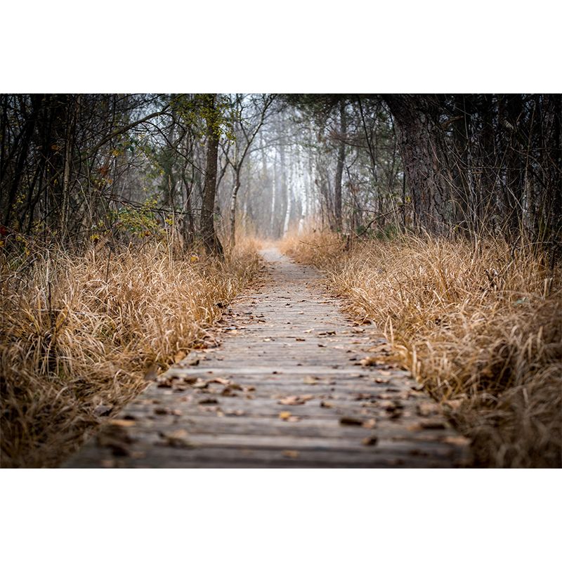 Space Extension Wallpaper Mural Photography Mildew Resistant for Living Room