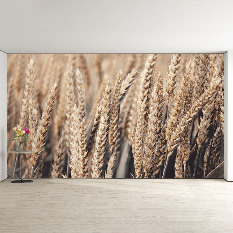 Wheat Field Mildew Resistant Wallpaper Photography Environmental Sleeping Room Wall Mural