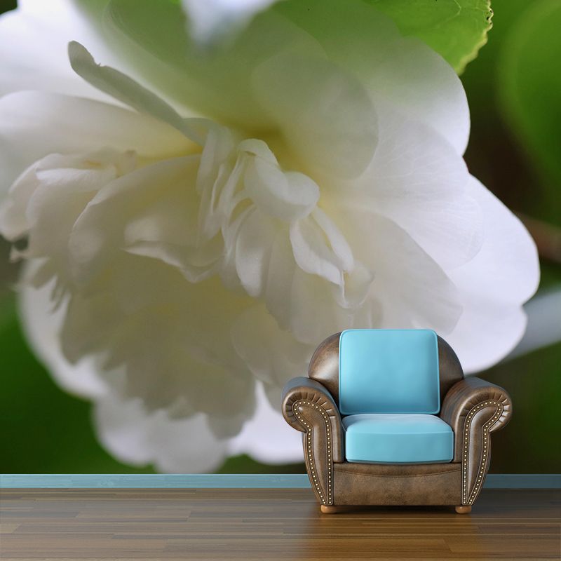 Customized Blooming Camellia Mural Wallpaper Contemporary for Guest Room