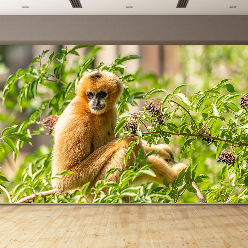Modern Style Gibbon Mural Wall Decor Mildew Resistant Living Room Wall Mural Wall Art