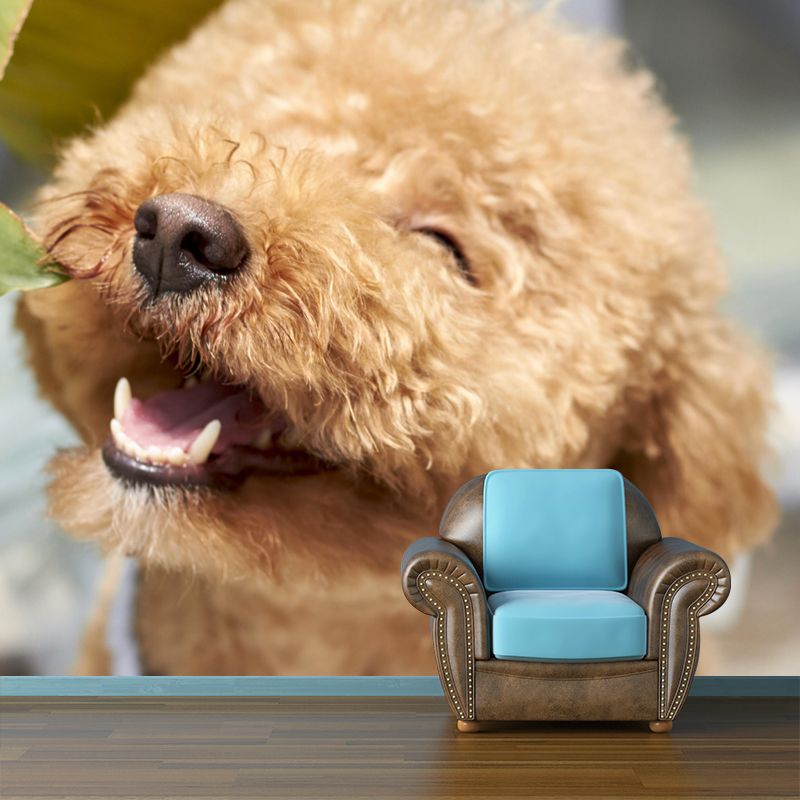 Lovely Poodle Mural Wall Decor Living Room Wall Covering for Decoration