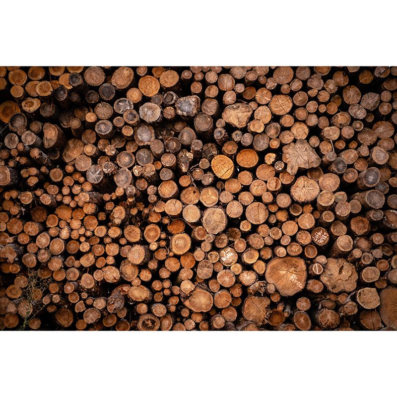 3D Print Industrial Style Wood Texture Mural Mildew Resistant Home Decor