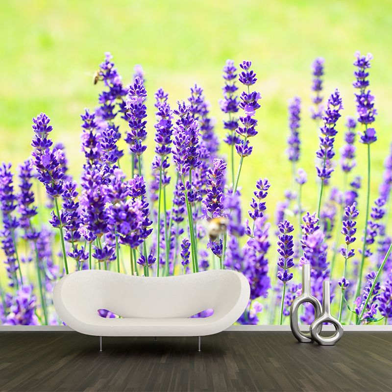 Contemporary Photography Beautiful Lavender Mural in Purple for Home Decor