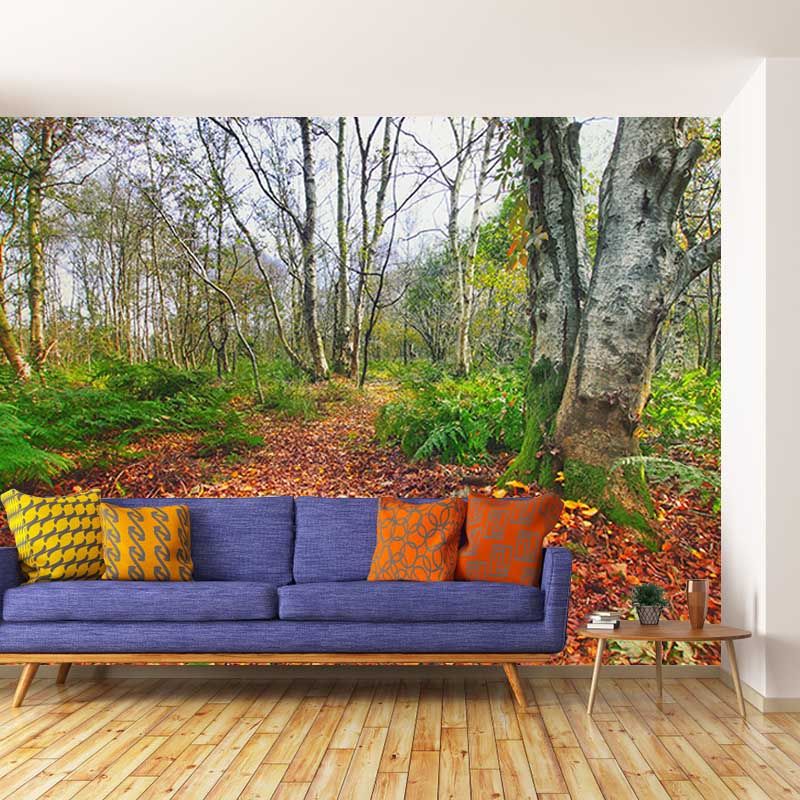 Fall Forest Mural Modern Murals Wallpaper for Living Room Moisture Resistant, Custom Size Available