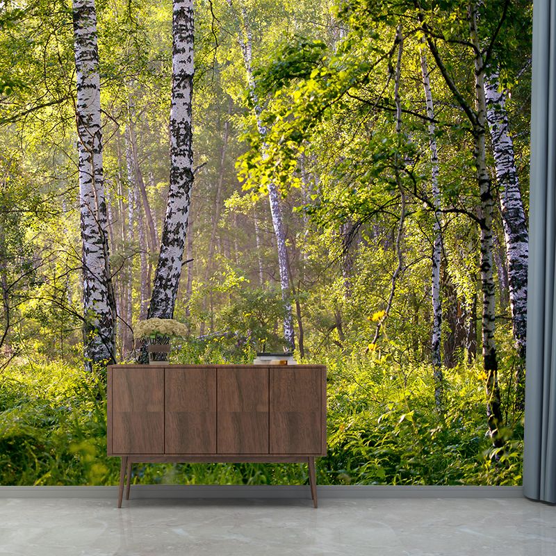 Forest Minimalism Style Mural Wallpaper for Living Room Bedroom, Waterproofing