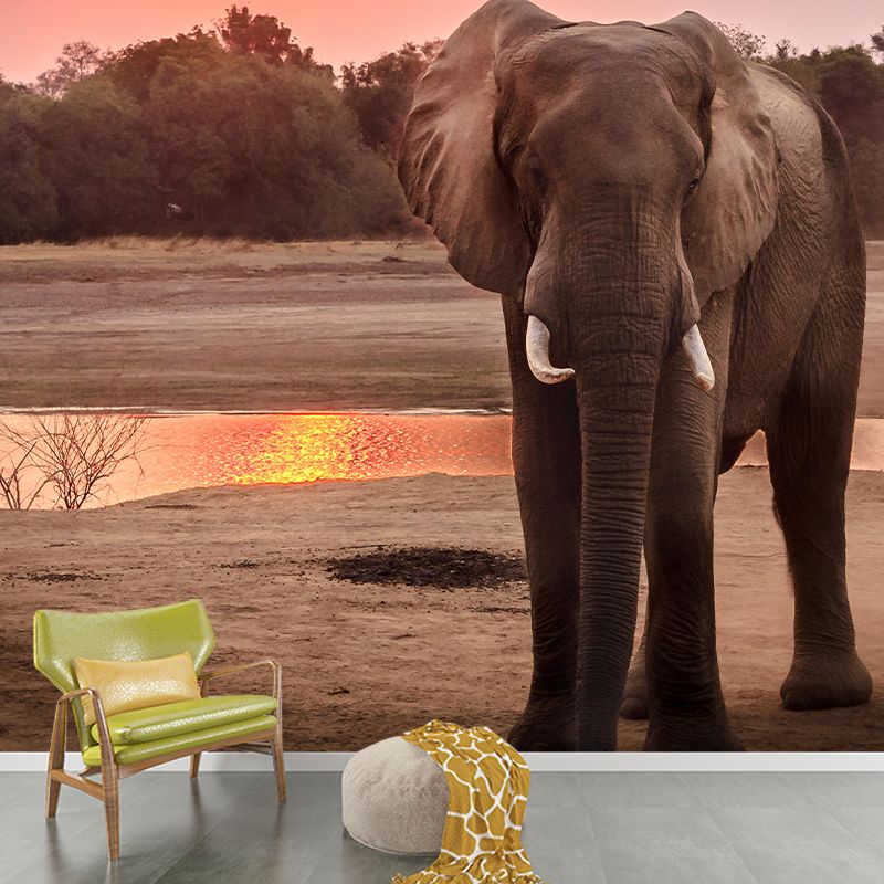 Giraffe Print Mildew Resistant Wall Mural Wild Animal Wallpaper Wall Murals for Home