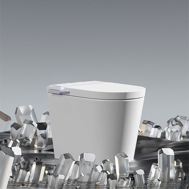 Modern Floor Mounted White Urine Toilet Siphon Jet Toilet Bowl with Toilet Seat